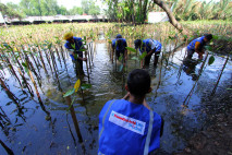 Penanaman 1.000 Pohon...