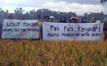 Kecewa dengan Impor...