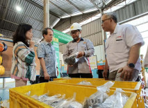 Jalin Kolaborasi, YDBA...