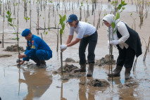 Mangrove Jadi Strategi...