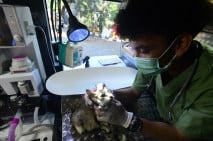 Mobil Klinik Hewan Keliling