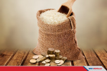 Bolehkah Harta Zakat...