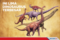 Ini 5 Dinosaurus Terbesar...