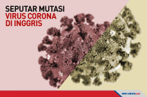 Seputar Mutasi Virus...