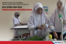 Meneliti Daun Mimba...