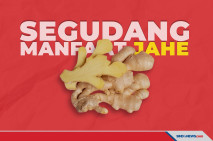 Jahe, Tanaman Obat yang...
