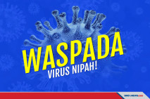 Waspada! Virus Nipah...