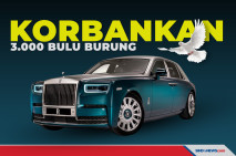 3.000 Bulu Burung Dikorbankan...