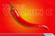 Vitamin C Pada Cabai...