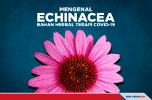Khasiat Bahan Herbal...