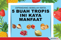 Kaya Manfaat, 5 Buah...