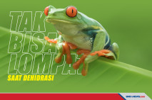 Pemanasan Global, Katak...