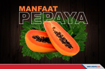 Manfaat Buah Pepaya,...