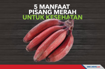 Lima Manfaat Buah Pisang...