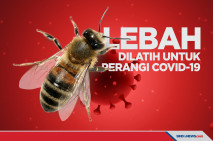 Lebah Berhasil Dilatih...