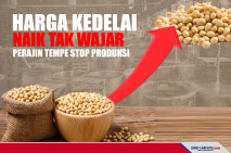 Kenaikan Kedelai Tak...