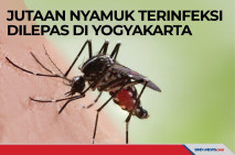 Jutaan Nyamuk Terinfeksi...