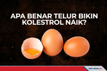 Apakah Telur Menyebabkan...