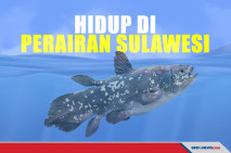 Lolos dari Asteroid...