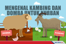 Mengenal Perbedaan Kambing...