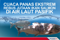 Cuaca Panas Ekstrem...