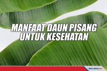Bisa Menurunkan Demam,...