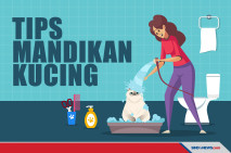 Cara Memandikan Kucing,...