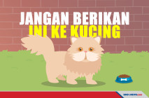 Kenali 7 Makanan yang...