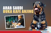 Pemerintah Arab Saudi...