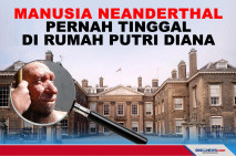 Manusia Neanderthal...