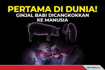 Pertama di Dunia! Ginjal...