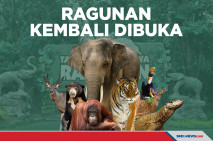Ragunan Kembali Dibuka,...