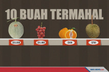 Buah-Buahan dari Asia...