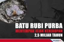 Batu Rubi Purba, menyimpan...