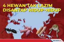Empat Jenis Hewan yang...