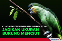 Cuaca Ekstrem dan Perubahan...