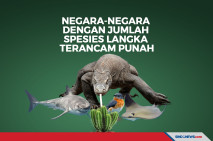Inilah 10 Negara dengan...