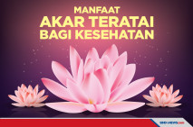 5 Manfaat Akar Teratai,...