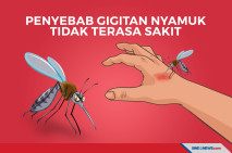 Tahukah Anda, Kenapa...