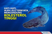 Hati-Hati, Ada Ikan...