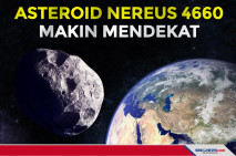 Asteroid Nereus 4660...