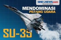 Ukraina Akui Jet Tempur...