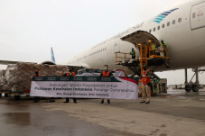 Datangkan 30 Ton APD,...