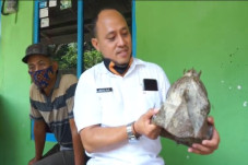 Mahkota Raja Bermotif...