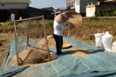 Penyuluh-Petani Dukung...