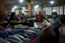 Jelang PSPB Surabaya,...