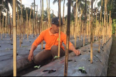 Duta Petani Milenial...