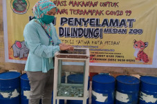 Dampak COVID-19, 270...