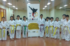 Global Taekwondo Academy...