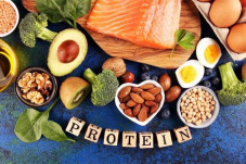Asupan Protein Tinggi...